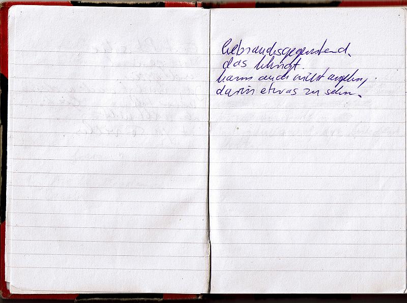 blackredbook (22)